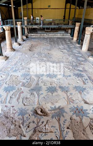 Un mosaico colorato al Parco Archeologico 2, Madaba, Giordania. Foto Stock