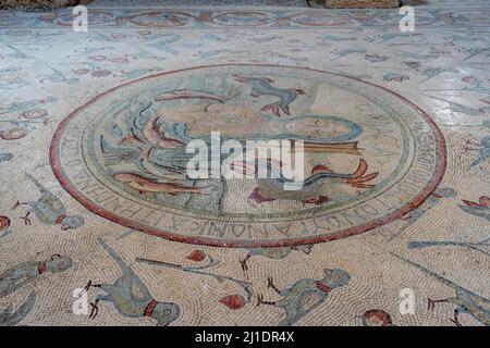 Un Mosaico colorato presso la Chiesa degli Apostoli, Madaba, Giordania. Foto Stock