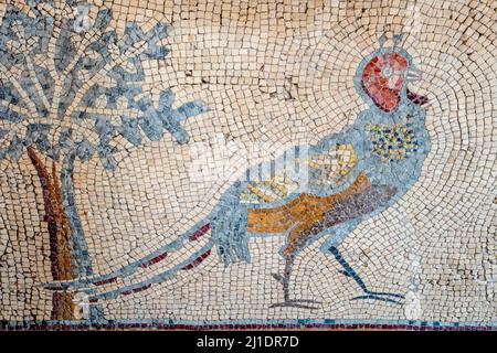 Un Mosaico colorato presso la Chiesa degli Apostoli, Madaba, Giordania. Foto Stock