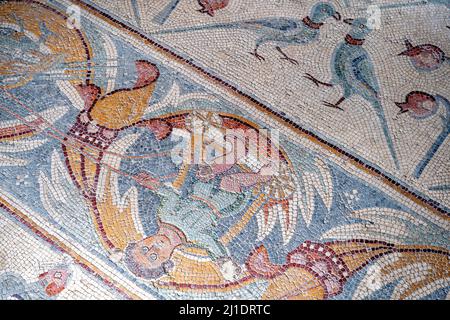 Un Mosaico colorato presso la Chiesa degli Apostoli, Madaba, Giordania. Foto Stock