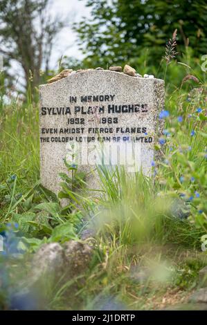 La campana di vetro da Sylvia Plath Foto stock - Alamy