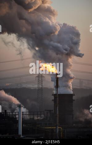 13.01.2022, Germania, Renania settentrionale-Vestfalia, Bottrop - la cokeria Prosper è una delle tre cokerie operanti nella regione della Ruhr. I professionisti Foto Stock