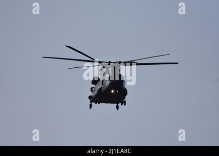 Un primo piano di un elicottero Royal Air Force chinook che decollerà dalla stazione aerea RAF Brize Norton di Carterton, Oxfordshire il 23rd marzo 2022 Foto Stock