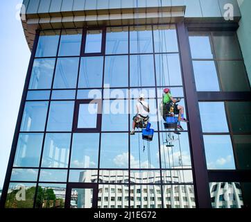 Lavoratori di alpinismo industriale lavano finestre in vetro di un alto edificio, appesi su funi di arrampicata di sicurezza. Due pulitori per finestre uomini che lavorano insieme all'esterno del grattacielo. Foto Stock