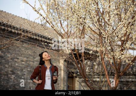 Una fotografa femminile sotto un albero di fiori di pesca - foto di scorta Foto Stock