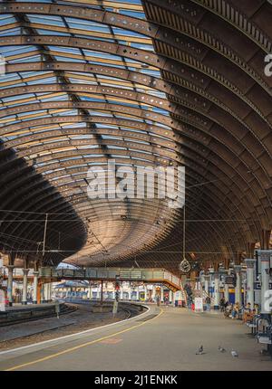 Un atrio della stazione ferroviaria. Un baldacchino in ferro del 19th secolo con un lucernario curve sopra le piattaforme e gli uccelli sono in primo piano. Foto Stock