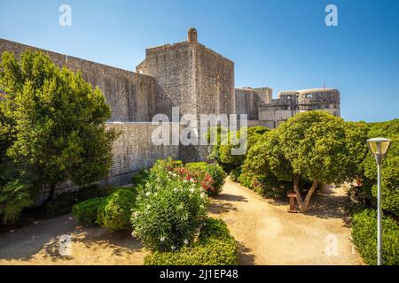 Forte Bokar alla parete occidentale della città di Dubrovnik in Croazia, Europa. Foto Stock