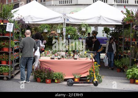 Scene di domenica dal mercato agricolo di Union Square a New York City. Foto Stock