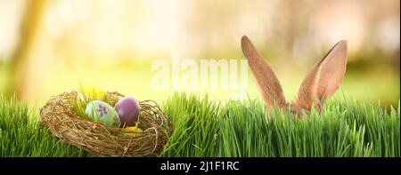 Bellissimo biglietto di auguri con uova di Pasqua e carino coniglietto nascondiglio in giardino Foto Stock