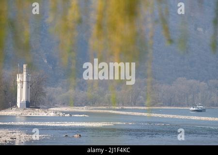 Bingen am Rhein, Germania. 25th Mar 2022. Una nave da trasporto naviga sul Reno vicino al Bingen Mäuseturm. Il Reno di Bingen attualmente trasporta meno acqua della media a lungo termine. Credit: Sebastian Gollnow/dpa/Alamy Live News Foto Stock