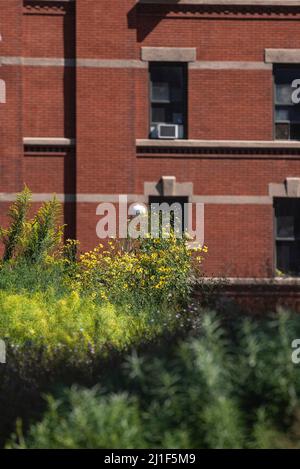 Scene estive dalle Highline di New York Foto Stock