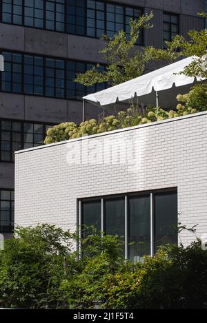 Scene estive dalle Highline di New York Foto Stock