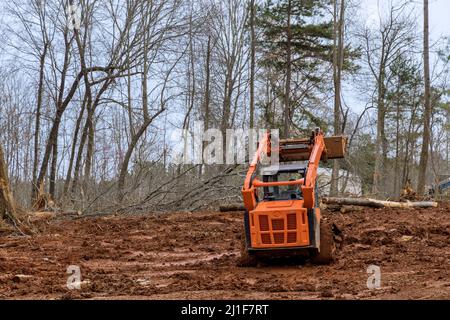 Escavatore sradicamento di alberi su terra in bulldozer bonifica terra da alberi, radici e rami Foto Stock