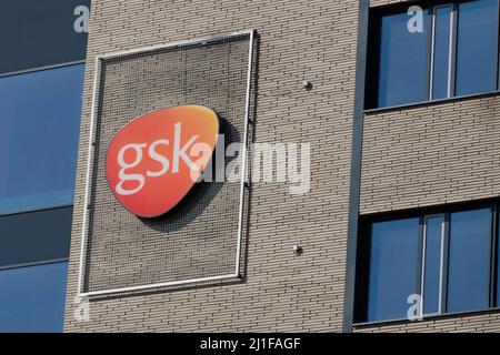 Poznan, Polonia - 24 marzo 2020: Logotyp GlaxoSmithKline Biologicals w Poznaniu, Polonia - GSK è una società farmaceutica britannica. Foto Stock