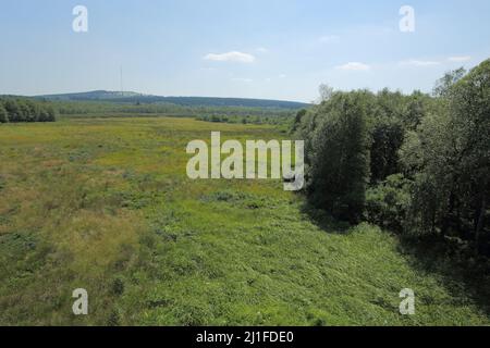 Vista di Rotes Moor con Heidelstein nel Rhoen, Assia, Germania Foto Stock