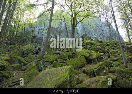 Il muro di pietra nella Riserva della Biosfera UNESCO del Rhoen, Assia, Germania Foto Stock