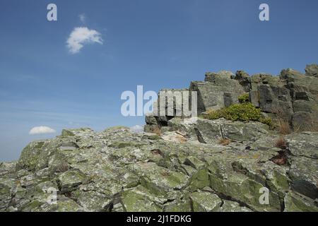 Rocce sul Pferdskopf al Wasserkuppe nel Rhoen, Assia, Germania Foto Stock