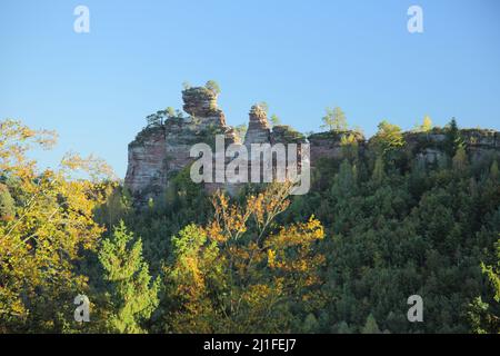 Vista sul Lämmerfelsen nel Dahner Felsenland, Renania-Palatinato, Germania Foto Stock