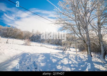 Paesaggio invernale. Somosierra, provincia di Madrid, Spagna. Foto Stock