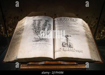 L'Italia, Toscana, Firenze, elencato come patrimonio mondiale dall' UNESCO, Officina Profumo Farmaceutica di Santa Maria Novella, Ex farmacista italiano pharmac Foto Stock