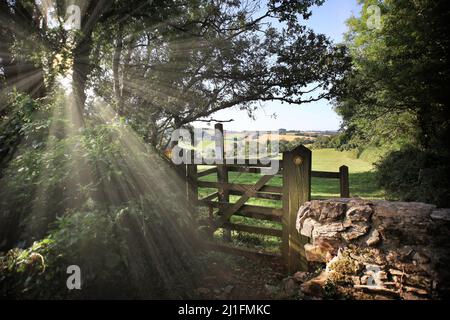 Porte a parte di un sentiero pubblico che corre da Torbay a Totnes nella zona di South Hams del South Devon, Inghilterra sud-occidentale. Foto Stock