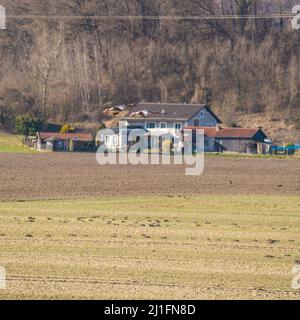 Un paio di oche si mette a terra Foto Stock