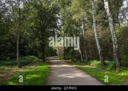 Essen, Renania settentrionale-Vestfalia, Germania - percorso ciclabile e pedonale nel parco della riva del canale Schurenbachhalde sul Reno-Herne-Canal. Il parco della riva del canale Conn Foto Stock