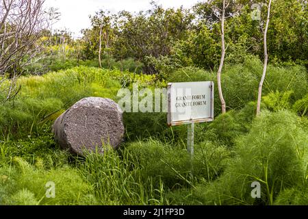 Rovine di Salamis a Yeni Boğaziçi, Repubblica Turca di Cipro del Nord (TRNC) Foto Stock