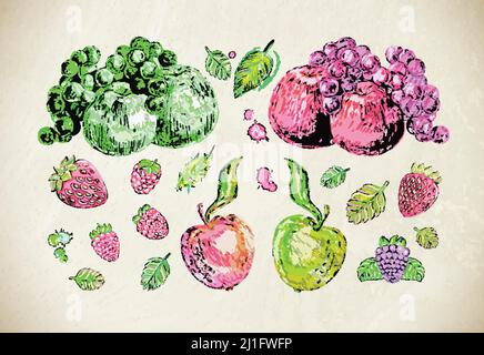 Illustrazioni disegnate a mano di frutti, bacche con foglie verdi. Frutti in stile schizzo. Mele, uva, lampone, fragola, mora. Illustrazione Vettoriale