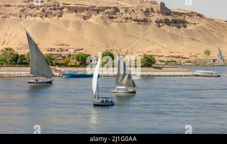 Feluche sul Fiume Nilo, Aswan, Egitto Foto Stock