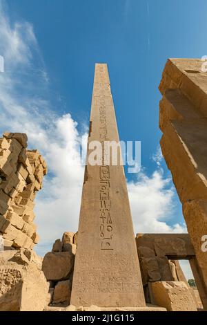 Obelisco della regina Hatshepsut, Karnak, Luxor Foto Stock
