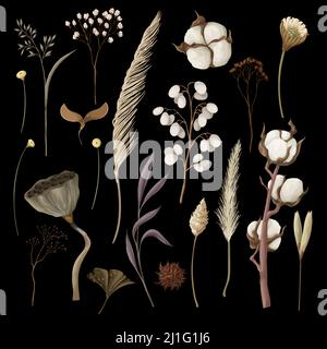 Fiori autmn secchi isolati. Vettore. Illustrazione Vettoriale