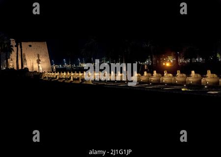 Pilone di Rameses II al tempio di Luxor, più il viale di Sphinxes che conduce a Karnak, illuminato di notte Foto Stock