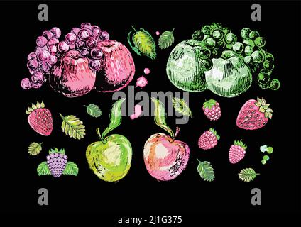 Illustrazioni vettoriali disegnate a mano di frutti, bacche con foglie verdi. Mele, uva, lampone, fragola, mora. Illustrazione Vettoriale