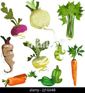 Verdure da giardino. Raccolta di raccolto di fattoria. Può essere utilizzato per argomenti come il cibo, vegetariano, alimentazione sana Illustrazione Vettoriale