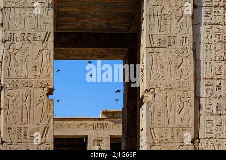 Porta d'ingresso al Tempio mortuario di Ramesse III, Medinet Habu Foto Stock