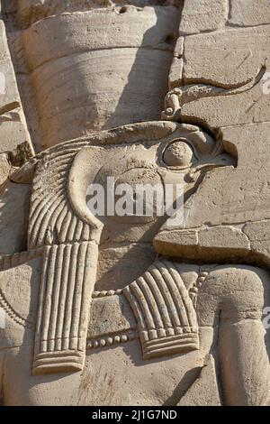 Scultura di Horus sulla torre orientale del secondo pilone nel tempio di Iside a Filae Foto Stock