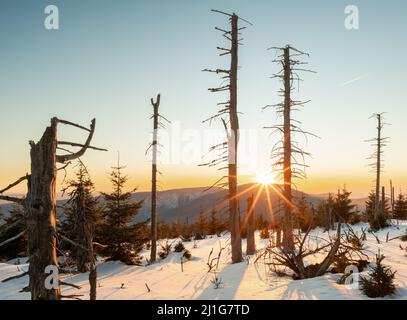 Tramonto invernale sul pendio con alberi morti e molta neve. Riserva naturale remota Smrk a Beskid montagne, Repubblica Ceca. Bellissima Foto Stock