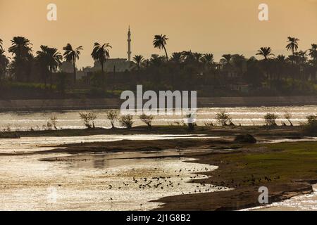 Silhouette di uccelli sul Nilo con un minareto sullo sfondo Foto Stock