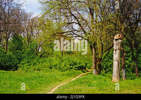 Parco a Uzhgorod con bei sentieri di alberi verdi e erba in una giornata di primavera Foto Stock