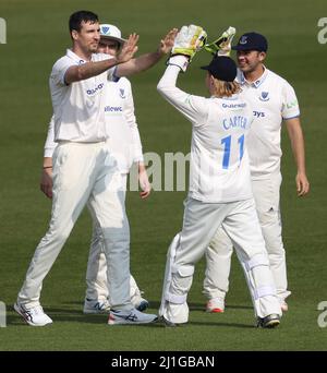 Hove, Regno Unito. 25th Mar 2022. Steve Finn festeggia durante la partita amichevole di 3 giorni tra Sussex e Surrey al Central County Ground 1st di Hove. 25th Marzo 2022 Credit: James Boardman/Alamy Live News Foto Stock