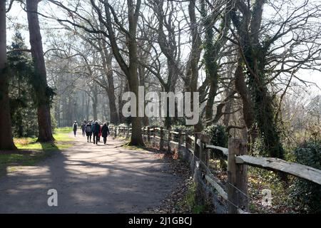 Persone che camminano sulla strada alberata Walkway dal fiume Wiley in Wisley RHS Garden Surrey Inghilterra Foto Stock