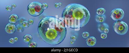 Concetto di biologia. Divisione mitotica, divisione cellulare al microscopio. Cellula umana, cellule animali, resa 3D, illustrazione 3D. Foto Stock