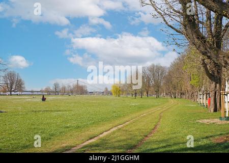 Düsseldorf (Rheinpark Golzheim), Germania - Marzo 21,2022: Vista sul prato di granata in primavera, ponte sul fiume reno sfondo Foto Stock
