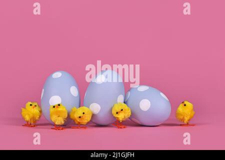 Piccoli polli pasquali decorativi e uova su sfondo rosa Foto Stock