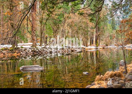 Vista sul fiume Merced e sugli alberi circostanti in inverno, Parco Nazionale di Yosemite Foto Stock