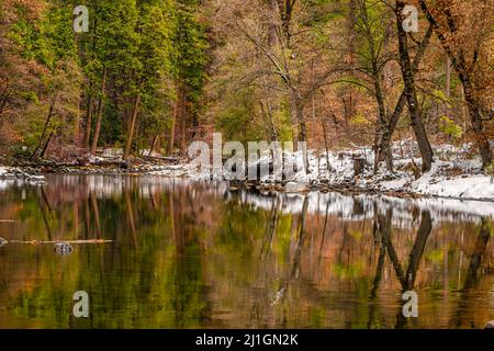 Vista sul fiume Merced e sugli alberi circostanti in inverno, Parco Nazionale di Yosemite Foto Stock