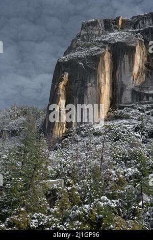 La luce del sole del pomeriggio illumina una massiccia scogliera di granito che sorge sopra una foresta coperta di neve dopo una tempesta invernale nel Parco Nazionale di Yosemite. Foto Stock