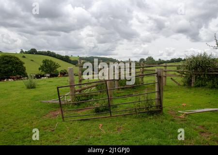 Recinzioni in legno rotte e cancello di metallo con colline Devon e pascolo in background in una giornata nuvolosa Foto Stock