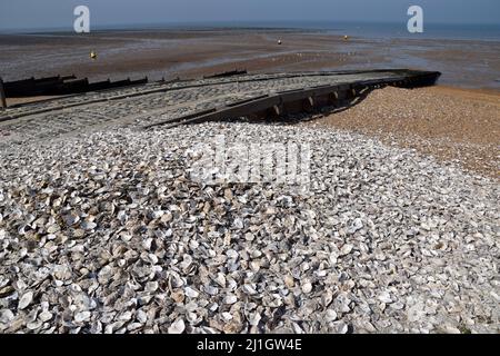 25/03/2022 potrebbe quasi essere estate come la gente gode di una bella giornata a Whitstable in Kent. La città è famosa per i suoi frutti di mare e soprattutto per le ostriche Foto Stock